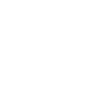 56w icon