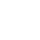 56w icon