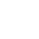 56w icon